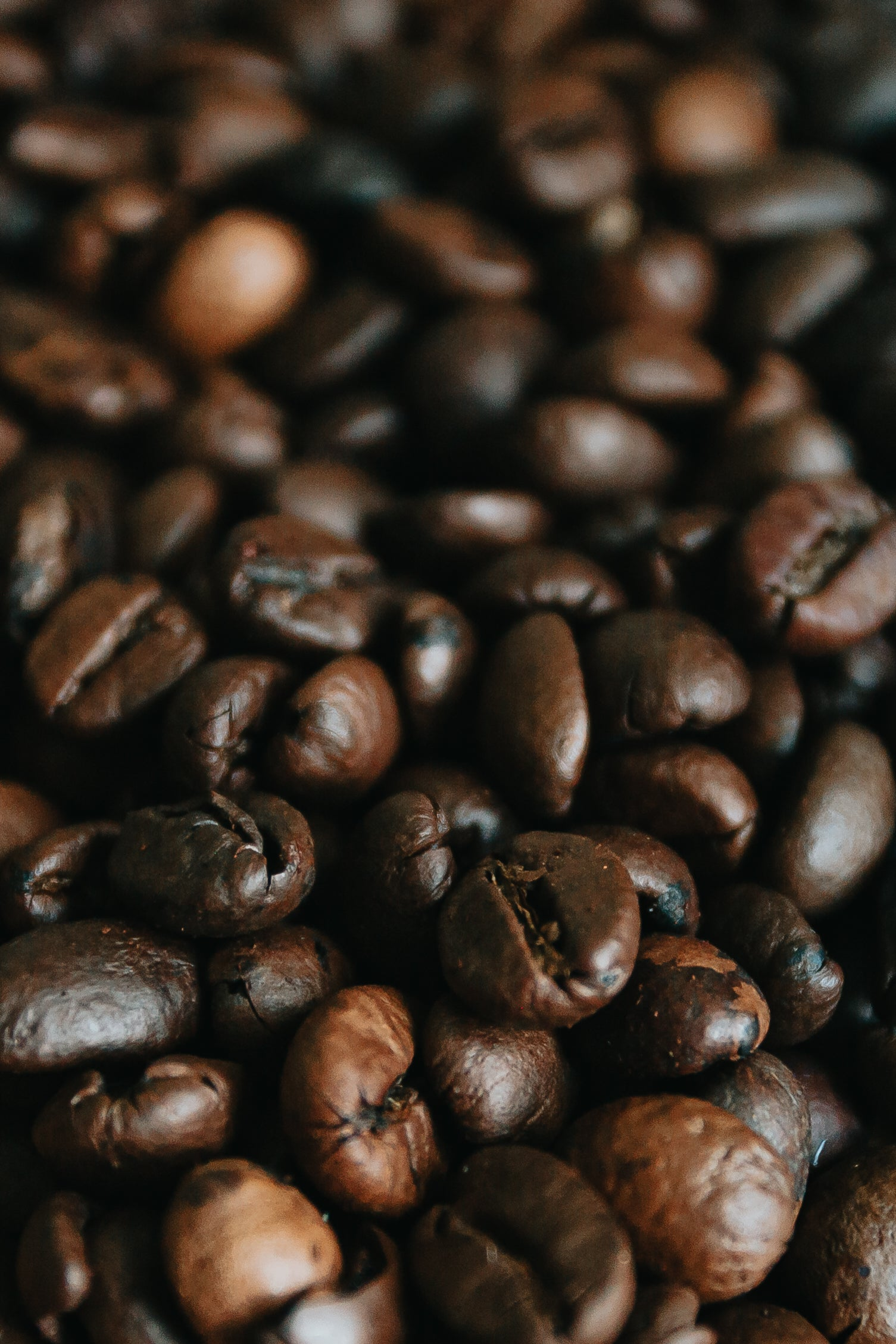 Dark Roast Collection